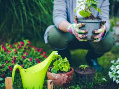 Health Benefits of Gardening